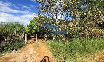 Imagem 3: Chácara Luziânia 3 Quartos 23mil m² Área de serviço Pomar Permuta