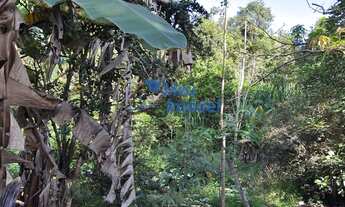 Imagem 4: Chácara Luziânia 3 Quartos 23mil m² Área de serviço Pomar Permuta