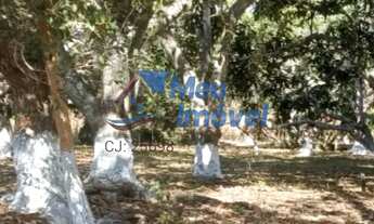 Imagem 4: Chácara Luziânia 4 Quartos 1 Suíte 04 Hectares Quintal Área de serviço Cercada