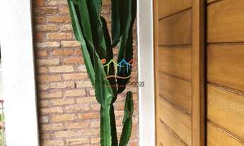 Imagem 7: Casa em condomínio a venda em Ilhabela