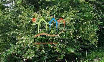 Imagem: Terreno a venda em Ilhabela