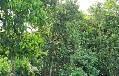 Imagem 6: Terreno em condomínio a venda em Ilhabela