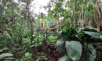 Imagem 7: Terreno na costeira a venda em Ilhabela