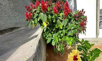 Imagem 4: Apartamento 03 quartos