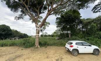 Imagem 3: CHACARA A 4 KM DA PRAIA