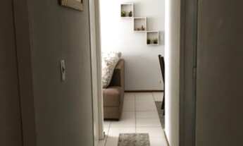 Imagem 6: Apartamento de 3 Dormitórios com Suíte à venda no Condomínio Jequitibá