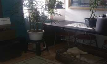 Imagem 6: Apartamento de 2 dormitórios à venda Condomínio Parque da Mata II