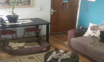 Imagem 5: Apartamento de 2 dormitórios à venda Condomínio Parque da Mata II