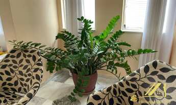 Imagem 2: Apartamento 3 quartos, 1 suíte na Graça! Rua 8 de Dezembro! Ótima localização