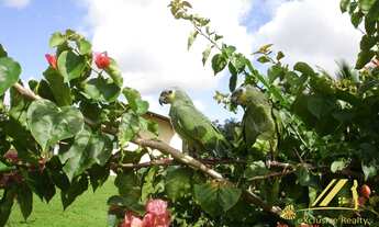 Imagem 7: Fazenda Sauípe na Costa de Sauípe, próxima às belas praias. 900.000m2 de Mata Atlântica