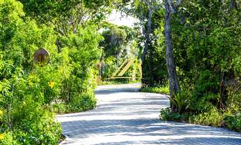 Imagem 5: Lote no Condomínio Praia das Tartarugas no Piscinas Naturais. Praia do Forte