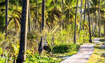 Imagem 6: Lote no Condomínio Praia das Tartarugas no Piscinas Naturais. Praia do Forte