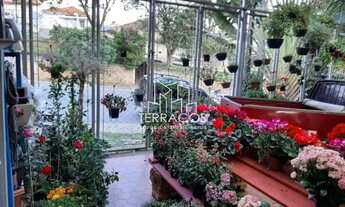 Imagem 6: FLORICULTURA COM CAFEFETERIA NA CIDADE DE ITATIBA- ÓTIMA LOCALIZAÇÃO EM AVENIDA