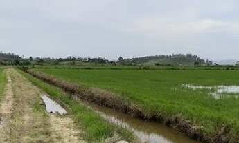 Imagem: TERENO PLANO COM ARROZEIRA A VENDA EM TIJUCAS