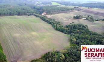 Imagem: FAZENDA A VENDA EM BOM RETIRO SERRA CATARINENSE