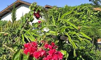 Imagem 6: SÍTIO A VENDA EM TIJUCAS COM CASA DE ALTO PADRÃO