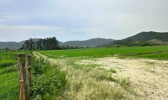 Imagem 6: TERENO PLANO COM ARROZEIRA A VENDA EM TIJUCAS