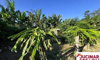 Imagem 5: SÍTIO A VENDA EM TIJUCAS COM CASA DE ALTO PADRÃO