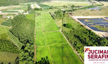 Imagem 3: EXCELENTE TERRENO RURAL EM TIJUCAS DE FRENTE PARA O ASLFALTO