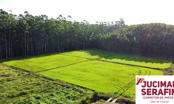 Imagem 6: EXCELENTE TERRENO RURAL EM TIJUCAS DE FRENTE PARA O ASLFALTO