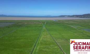 Imagem 5: Terreno para loteamento e condomínio com grande potencial frente Br-101 a venda em Tijucas