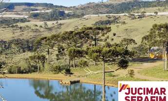 Imagem 5: Fazenda a venda com potencial para vinícola em São Joaquim, próximo a Vinícola Pericó