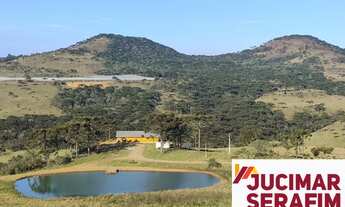 Imagem 6: Fazenda a venda com potencial para vinícola em São Joaquim, próximo a Vinícola Pericó