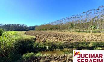 Imagem: TERRENO RURAL EM TIJUCAS TOTALMENTE PLANO