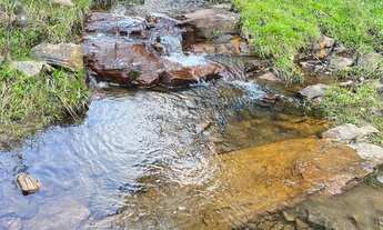 Imagem 2: FAZENDA A VENDA EM SÃO JOSÉ DOS AUSENTES