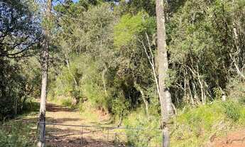 Imagem 4: FAZENDA A VENDA EM SÃO JOSÉ DOS AUSENTES