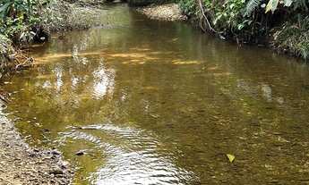 Imagem 5: Terreno a Venda em Camboriú com pastagem e riacho pronto para fazer seu sítio
