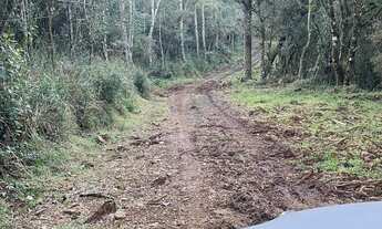 Imagem 6: FAZENDA A VENDA EM SÃO JOSÉ DOS AUSENTES