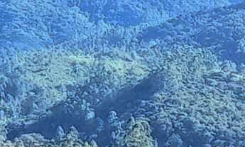 Imagem 5: Terreno a venda em Tijucas com pastagem e com excelente estrutura