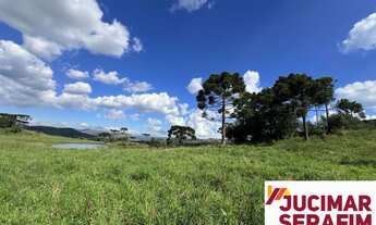 Imagem 3: FAZENDA A VENDA EM SÃO JOAQUIM, PRÓXIMO A VINÍCOLA PERICÓ