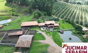 Imagem 5: FAZENDA À VENDA NA SERRA CATARINESE COM POMAR DE MAÇA ? SÃO JOAQUIM - PERICÓ