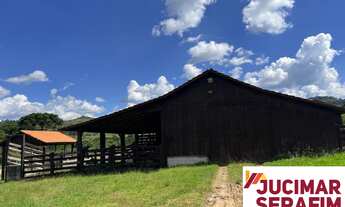 Imagem 6: FAZENDA À VENDA NA SERRA CATARINESE COM POMAR DE MAÇA ? SÃO JOAQUIM - PERICÓ