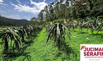 Imagem: Terreno rural a venda em Tijucas com água