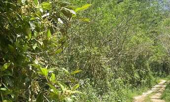 Imagem 5: TERRENO RURAL A VENDA EM SÃO PEDRO DE ALCANTARA SC