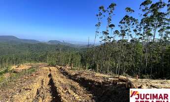 Imagem: Terreno Rural a venda em Camboriú para