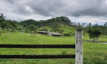 Imagem 6: EXCELENTE FAZENDA A VENDA EM TIJUCAS COM RIACHO E MUITAS LOGOAS