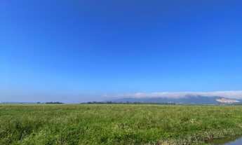 Imagem 2: Fazenda à venda em Tijucas, área a venda em Tijucas com possibilidade de loteamento no fut