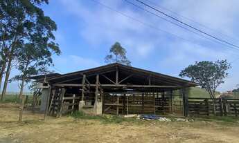 Imagem 3: Fazenda à venda em Tijucas, área a venda em Tijucas com possibilidade de loteamento no fut