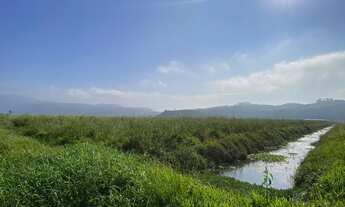 Imagem 4: Fazenda à venda em Tijucas, área a venda em Tijucas com possibilidade de loteamento no fut