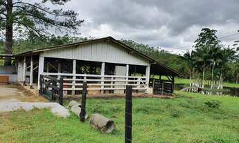 Imagem: EXCELENTE FAZENDA A VENDA EM TIJUCAS COM