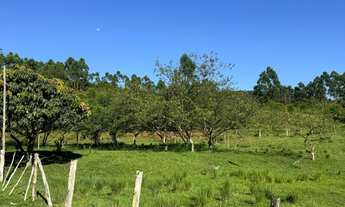 Imagem 7: Belíssima área com 23 hectares em Tijucas/SC