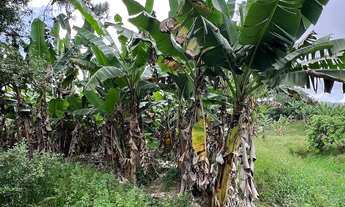 Imagem 7: SÍTIO COM ESCRITURA PÚBLICA À VENDA EM TIJUCAS