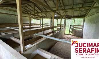 Imagem 6: Belíssima área com 23 hectares em Tijucas/SC