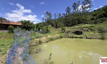 Imagem: Sítio a venda no bairro Campo Novo Tijucas