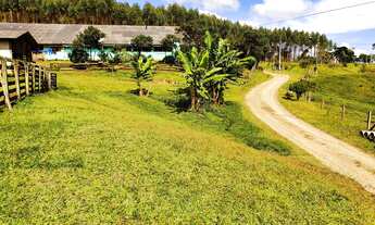 Imagem 3: FAZENDA A VENDA EM BENEDITO NOVO COM REFLORESTAMENTO DE EUCALIPTO