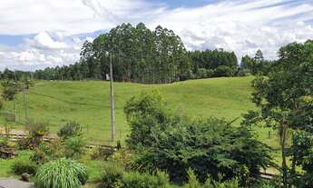 Imagem 5: FAZENDA A VENDA EM BENEDITO NOVO COM REFLORESTAMENTO DE EUCALIPTO